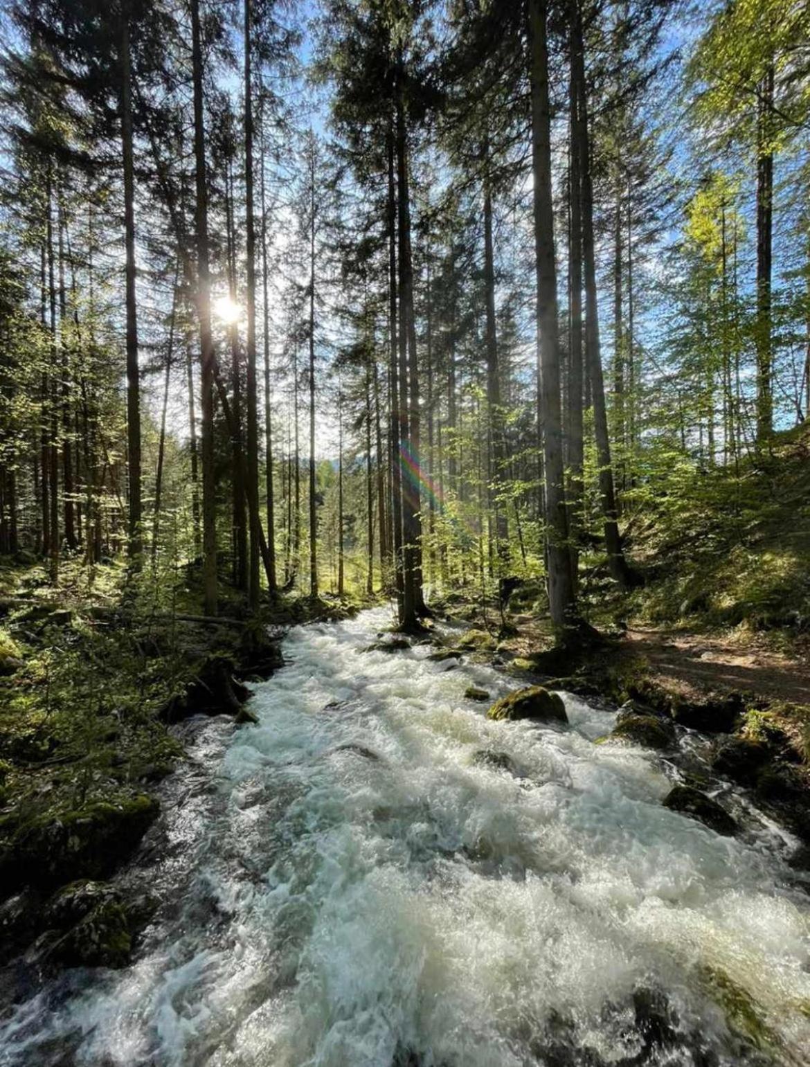 Ferienhaus Romantika Bad Aussee Exteriör bild